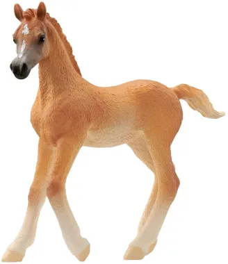 Schleich Horse Club 13984 : Poulain Arabe