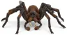 Schleich Harry Potter 13987 : Aragog