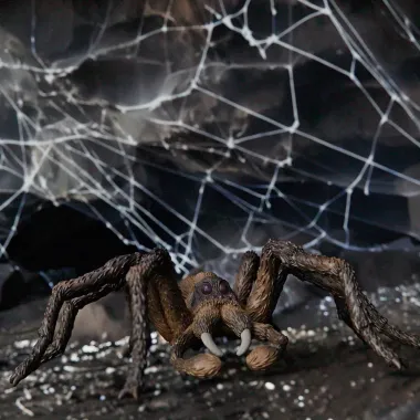 Schleich Harry Potter 13987 : Aragog