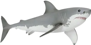 Requin Blanc
