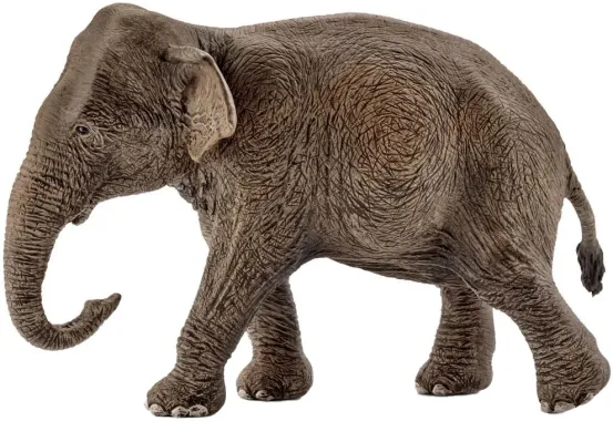 Schleich Wild Life 14753 : Eléphant d’Asie, femelle