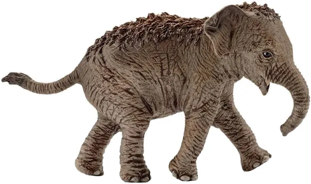 Schleich Wild Life 14755 : Eléphanteau d’Asie