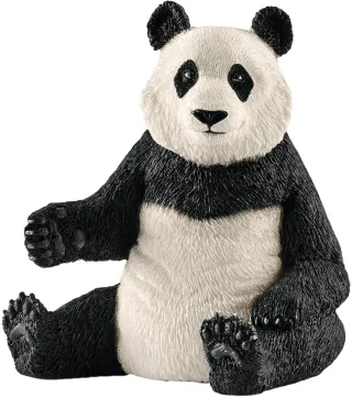 Panda géant, femelle