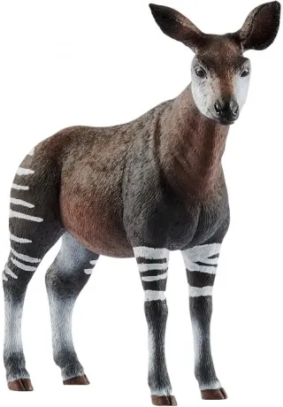 Okapi