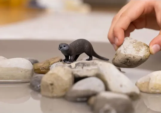 Schleich Wild Life 14865 : Loutre