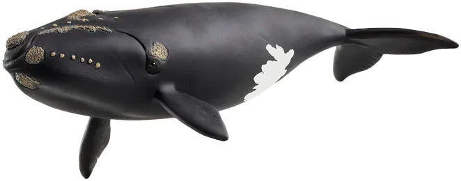 Schleich Wild Life 14878 : Baleine de l&#039;Atlantique