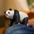 Schleich Wild Life 14885 : Panda géant