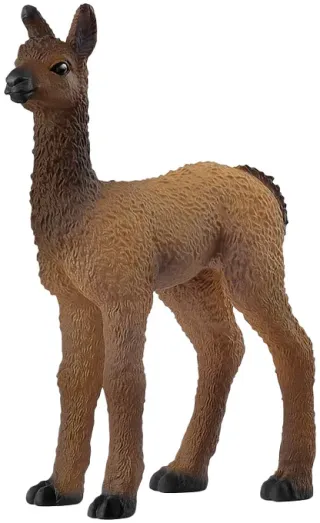 Bébé Lama