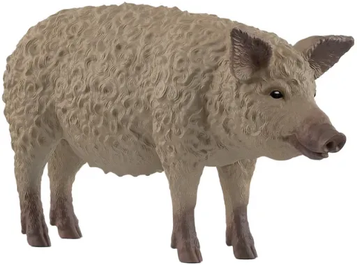 Schleich Farm World 14892 : Cochon Mangalica