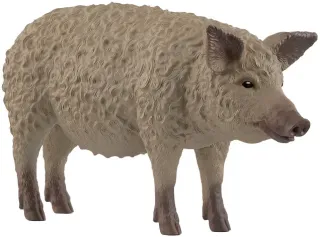 Cochon Mangalica