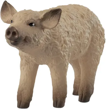 Schleich Farm World 14893 : Porcelet Mangalica