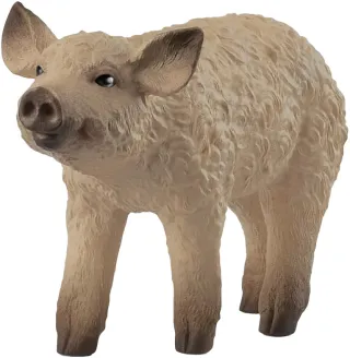 Porcelet Mangalica