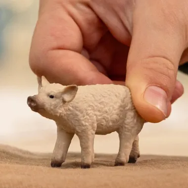 Schleich Farm World 14893 : Porcelet Mangalica