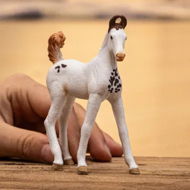 Schleich Horse Club 14896 : Poulain Marwari