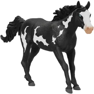 Hongre Paint Horse
