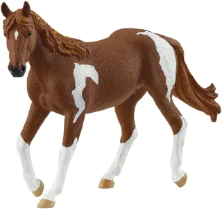 Jument Paint Horse