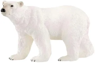 Ours polaire (circular)