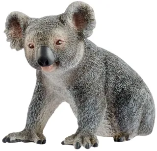Koala (circular)