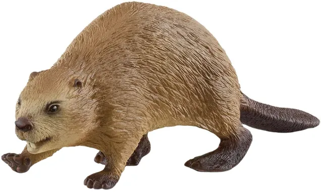 Schleich Wild Life 14955 : Castor (circular)