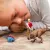 Schleich Dinosaurs 41465 : Attaque Tyrannosaure Rex