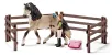 Schleich Horse Club 42270 : Kit de soin pour chevaux andalous