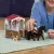 Schleich Horse Club 42437 : Box pour chevaux Tori &amp; Princess