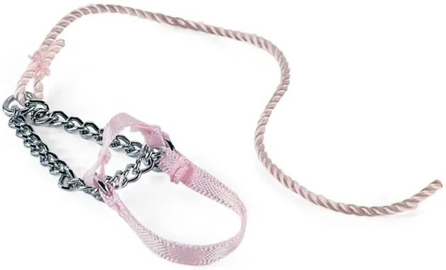 Schleich Horse Club 42440 : Tournoi Equestre entre Amis