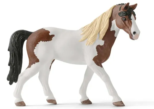 Schleich Horse Club 42441 : Kit d&#039;Equitation Western Horse Club Hannah