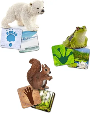 Schleich Wild Life 42474 : Cartes d&#039;apprentissage Wild Life