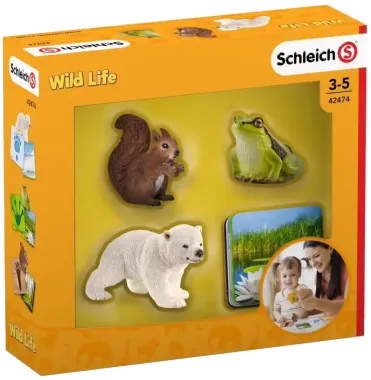 Schleich Wild Life 42474 : Cartes d&#039;apprentissage Wild Life