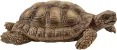 Schleich Wild Life 42506 : Maison pour Tortues
