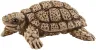 Schleich Wild Life 42506 : Maison pour Tortues