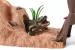 Schleich Wild Life 42507 : Station d&#039;aventures sauvages