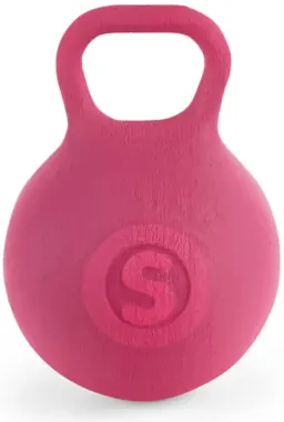 Schleich Horse Club 42534 : Poulain Joueur