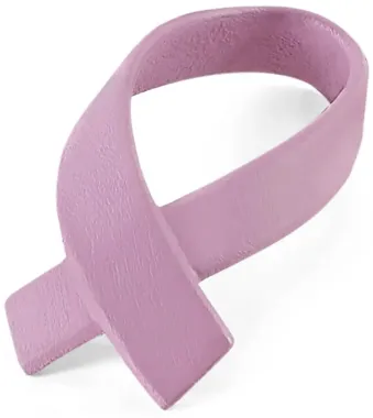 Schleich Horse Club 42538 : Accessoires de tournoi