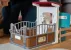 Schleich Horse Club 42569 : Extension Box pour Chevaux
