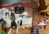 Schleich Horse Club 42592 : Café des Cavaliers
