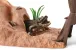 Schleich Wild Life 42594 : Station d&#039;aventures sauvages