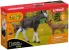 Schleich Wild Life 42603 : Élan Femelle avec Veau (National Geographic)