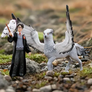 Schleich Harry Potter 42633 : Harry et Hedwige