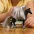 Schleich Horse Club Sofia&#039;s Beauties 42652 : Crinière &amp; Queue – Gris Sofia&#039;s Beauties
