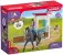 Schleich Horse Club 42709 : Horse Club Box pour Chevaux avec Lisa &amp; Storm