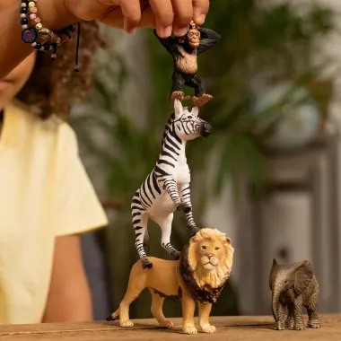 Schleich Wild Life 42721 : Kit de base Wild Life Afrique