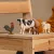 Schleich Farm World 42729 : Mes Premiers Animaux de la Ferme