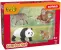 Schleich Wild Life 42736 : Kit de base Wild Life Asie
