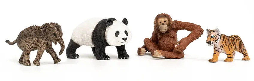 Schleich Wild Life 42736 : Kit de base Wild Life Asie