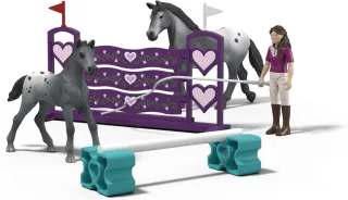 L&#039;entrainement au concours de Lisa