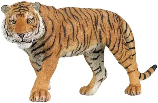 Tigre