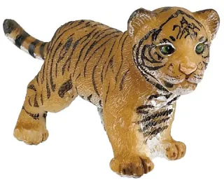Bébé tigre
