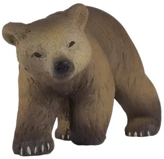 Ourson des Pyrénées